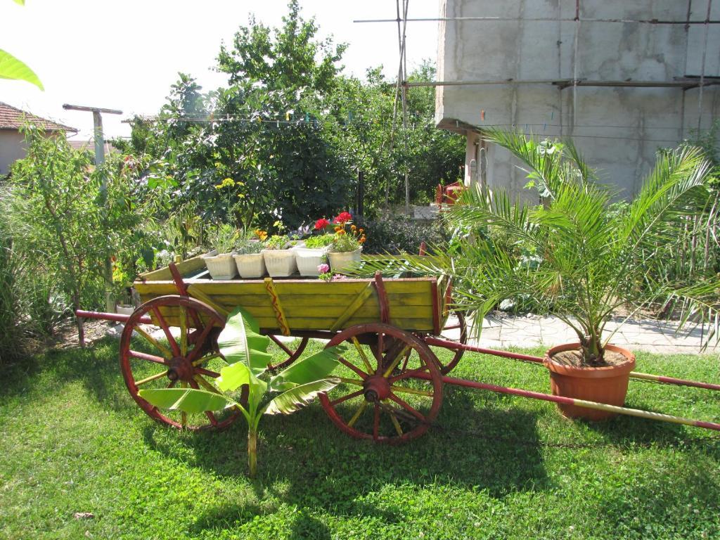 Guest House Rusalka Byala  Exterior photo